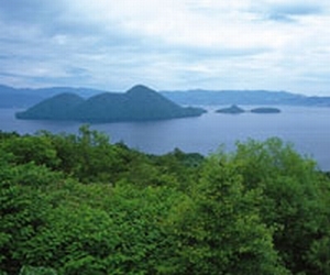 ダイエットとサプリメントについて